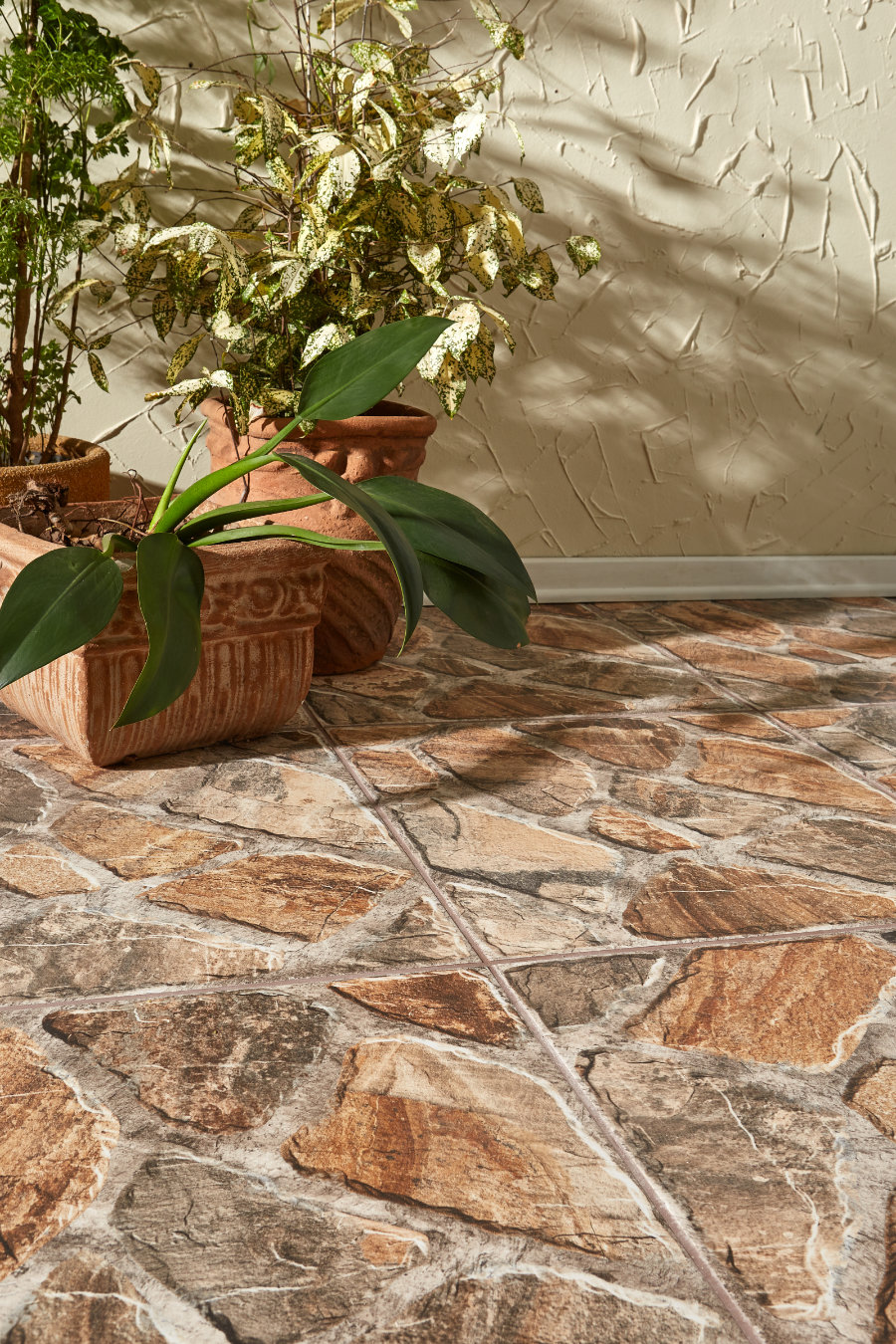 Astro - 58012-amb010.jpg